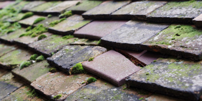 Rogerstone roof repair costs